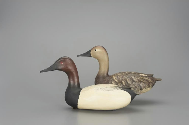 Bob White – High-Head Canvasback Pair – 2018