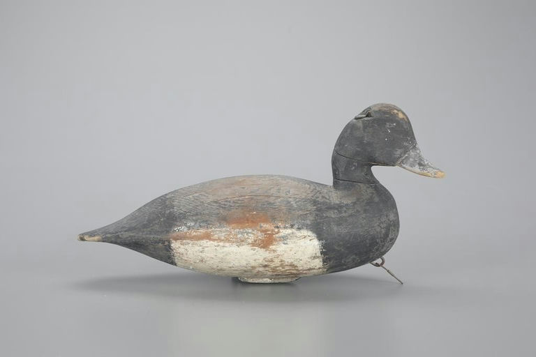 Ira Hudson – Early Bluebill – 2023