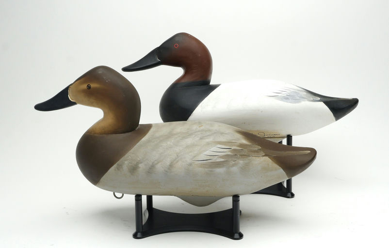 Charlie Joiner – Pair of Canvasback – 2026