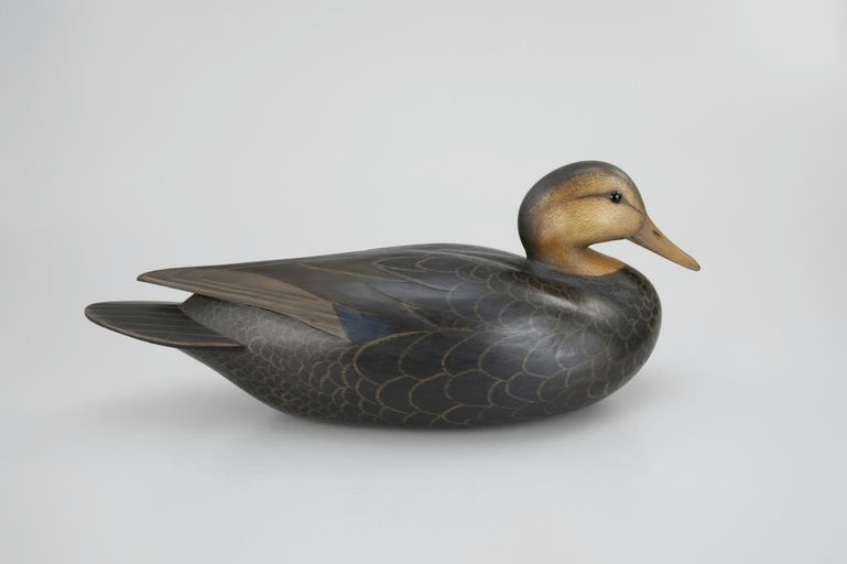 Bill Gibian – Black Duck – 2026