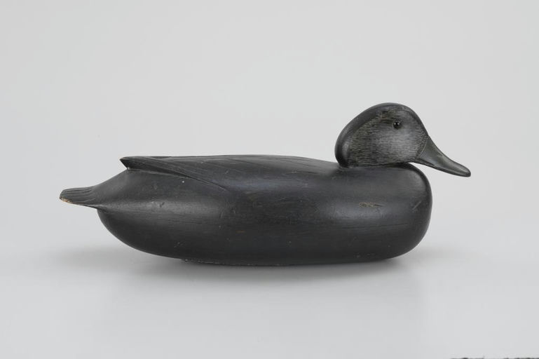Dan English – Mackey-Muller Black Duck – 2026