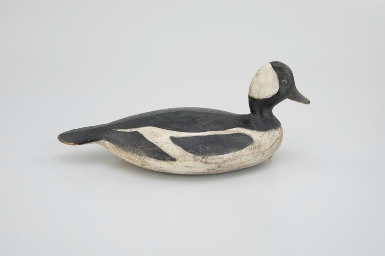 Mark McNair – Early Bufflehead – 2026