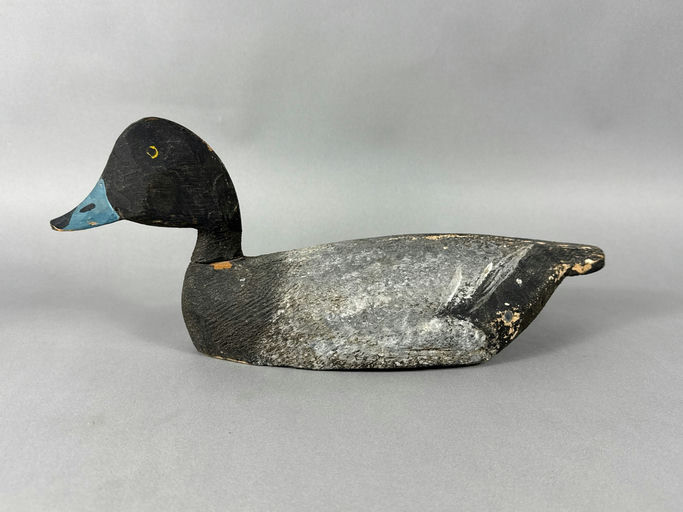 Lloyd Tyler – Scaup – 2026