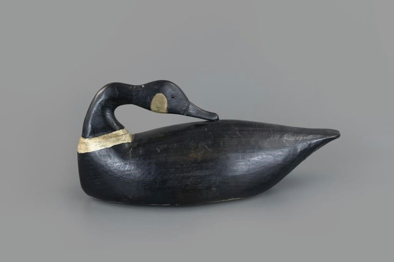 Miles Hancock – Rare Preening Black Goose – 2025