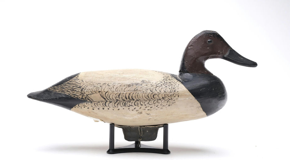 Doug Jester – Canvasback – 2026