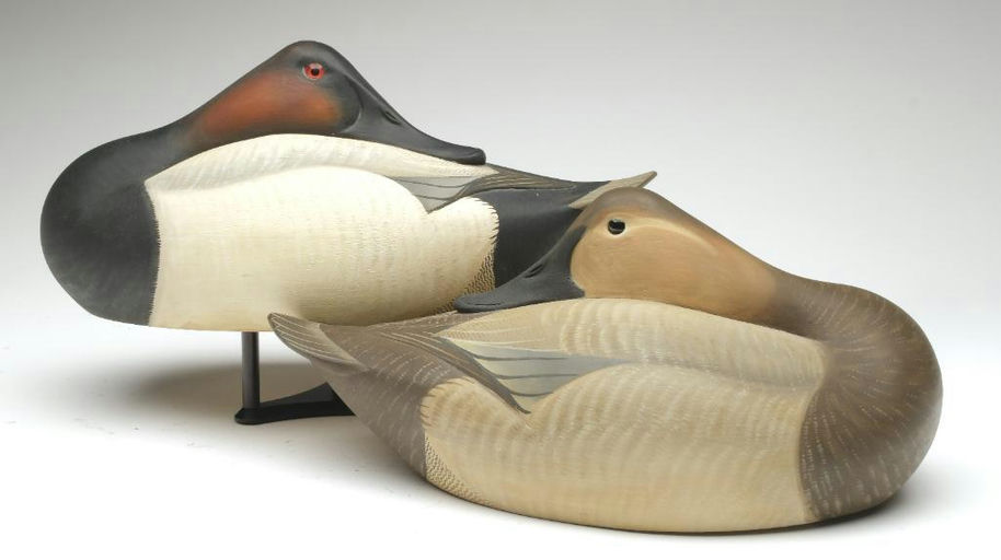 Josh Brewer – Canvasback – 2023