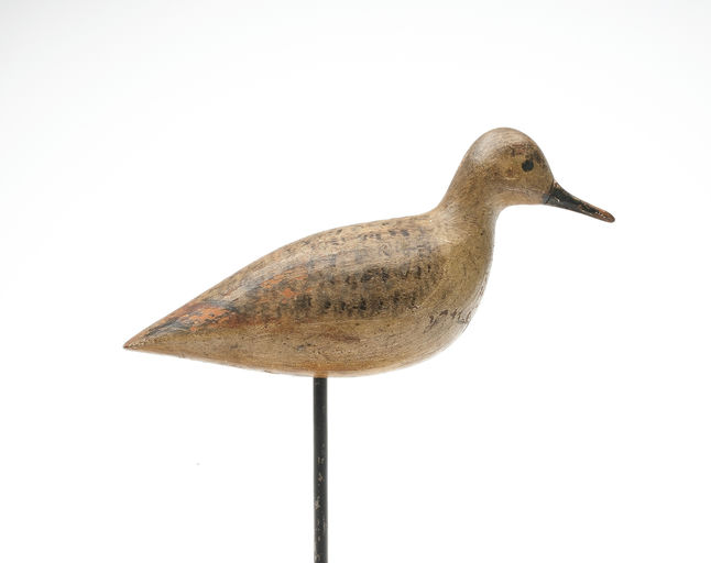 Harry V. Shourds – Sanderling – 2026