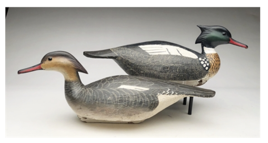 Grayson Chesser – Pair of Working Mergansers – 2019