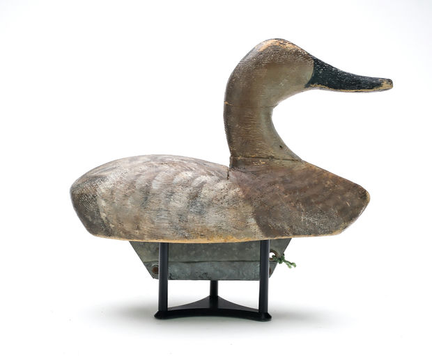 Duncan Ducharme – Canvasback – 2025
