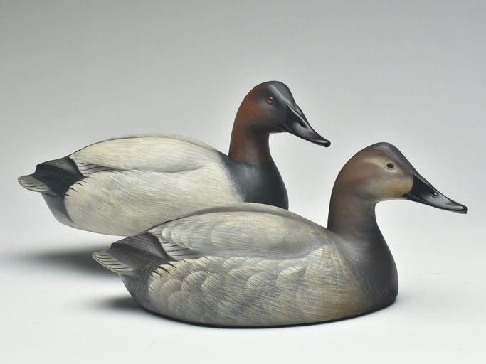 Jim Schmiedlin – Pair of Canvasback – 2023