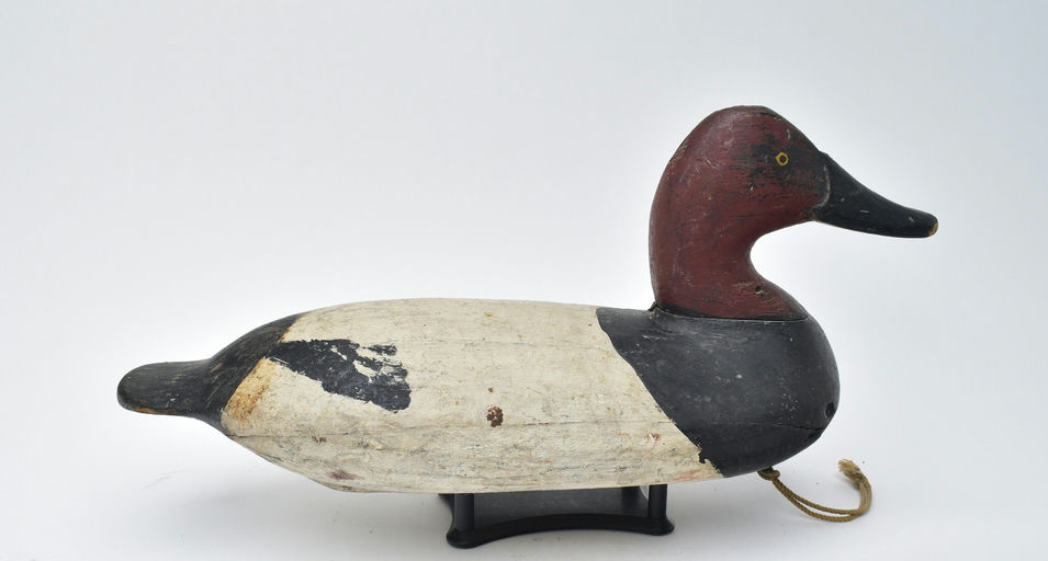 William Heverin – Canvasback – 2025