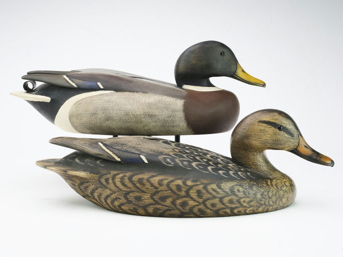 Ken Anger – Mallard – 2024