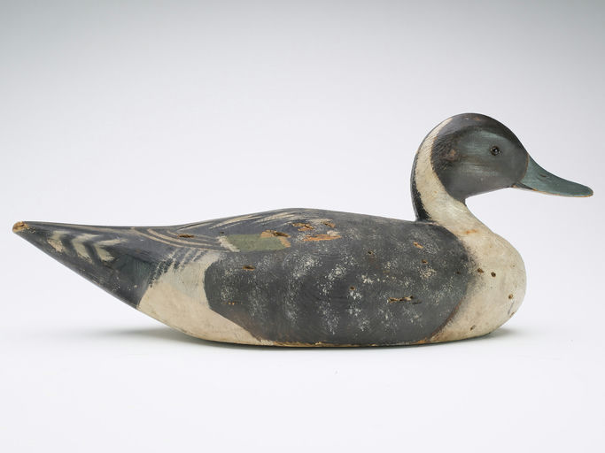 Elmer Crowell – Pintail – 2024