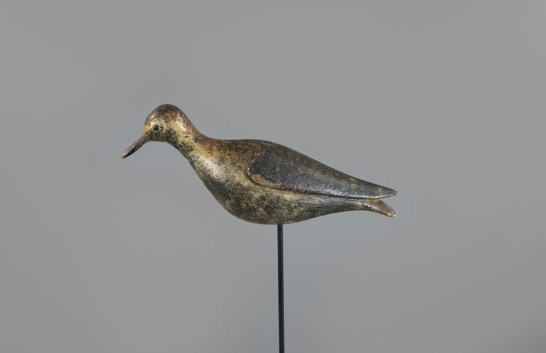 Joseph Lincoln – Golden Plover – 2025
