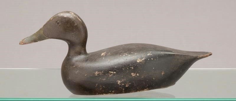 Rosh Douglas – Black Duck – 2011