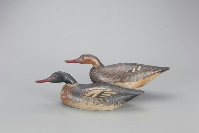Elmer Crowell – Exceptional Swimming Merganser Pair – 2022