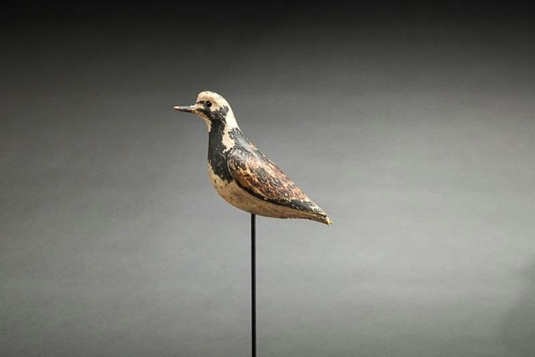 Charles Sumner Bunn – Ruddy Turnstone – 2014