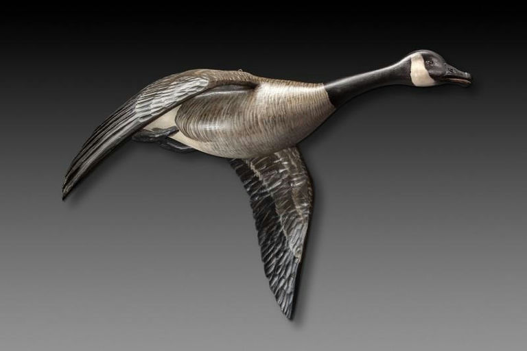 Mike Borrett – Flying Canada Goose – 2014
