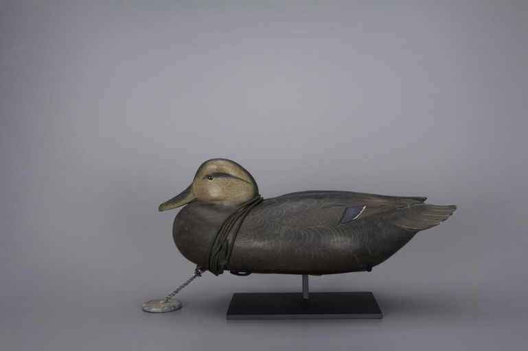 Bob White – Black Duck – 2017
