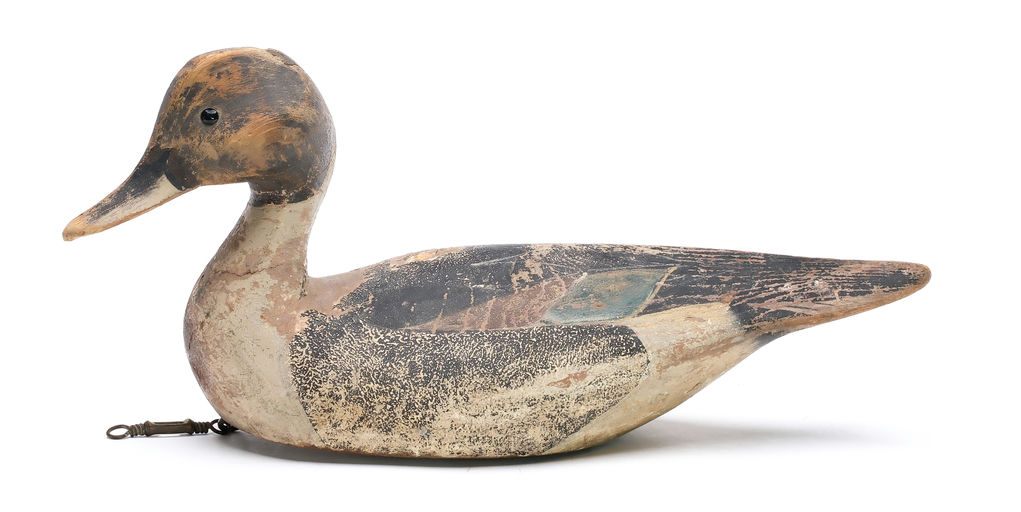 Ward Brothers – Pintail – 2025