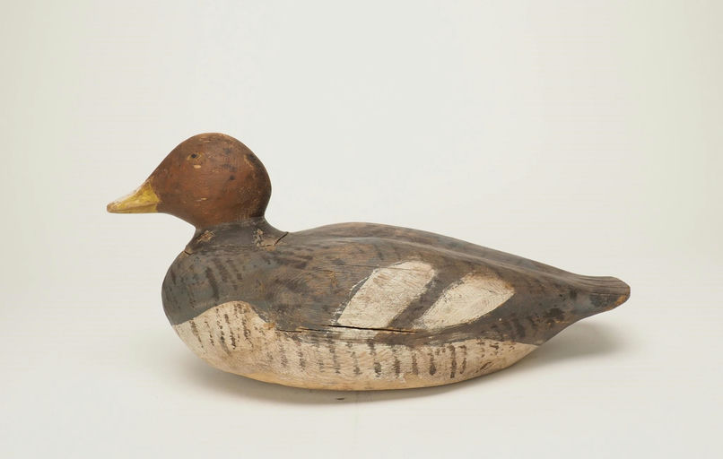Gus Wilson – Goldeneye Hen – 2024