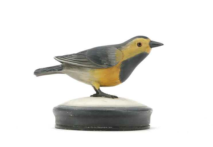 Frank Finney – Decorative Bachman's warbler – 2025