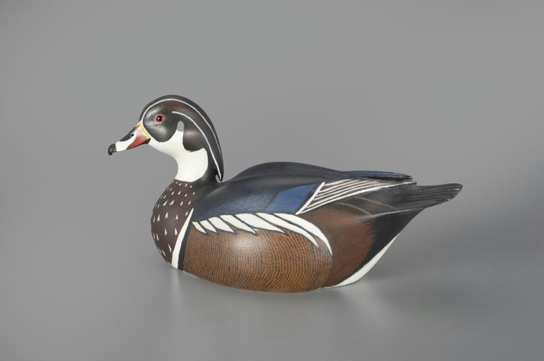 John McLoughlin – Wood Duck – 2024