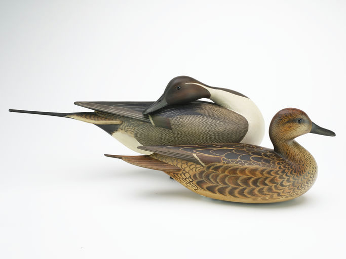 Bill Gibian – Pair of Pintail – 2024
