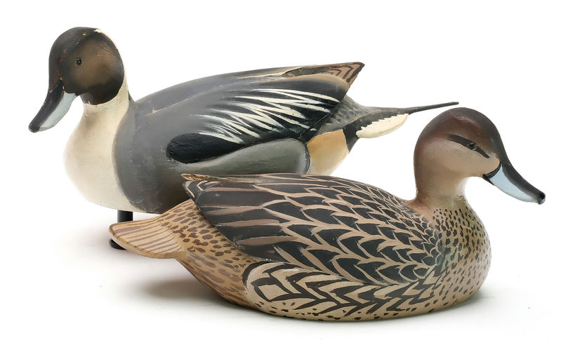 Ward Brothers – Pair of pintails – 2025