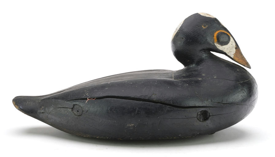 Gus Wilson – Scoter – 2024
