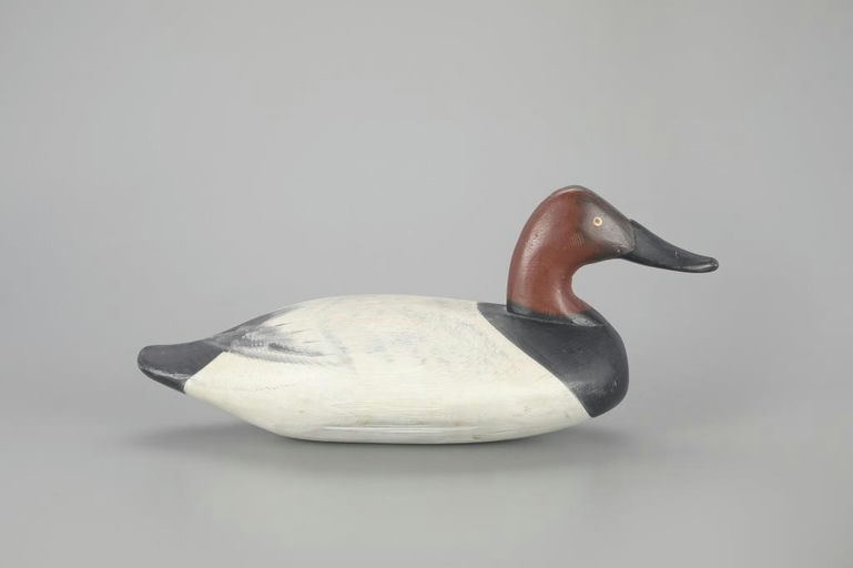 James Currier – Canvasback Drake – 2023