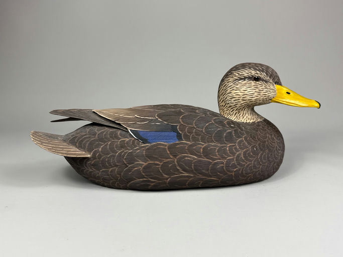 Jack Dashiell – Black Duck – 2026