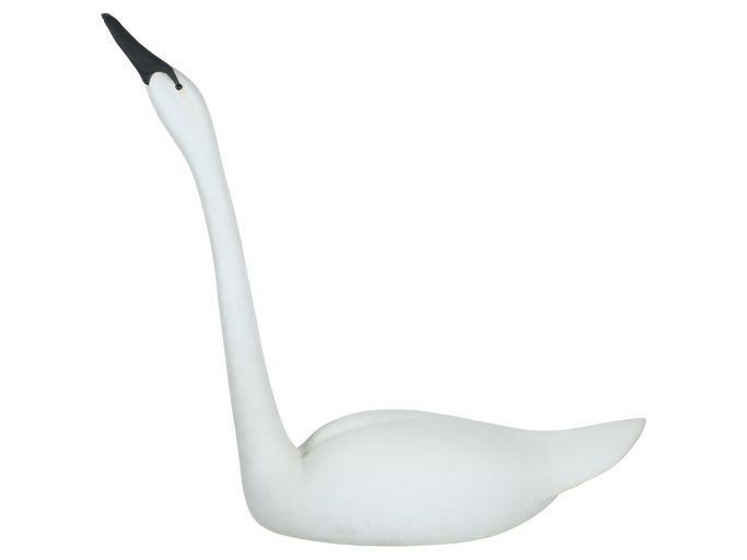 Frank Finney – Sculptural swan – 2023
