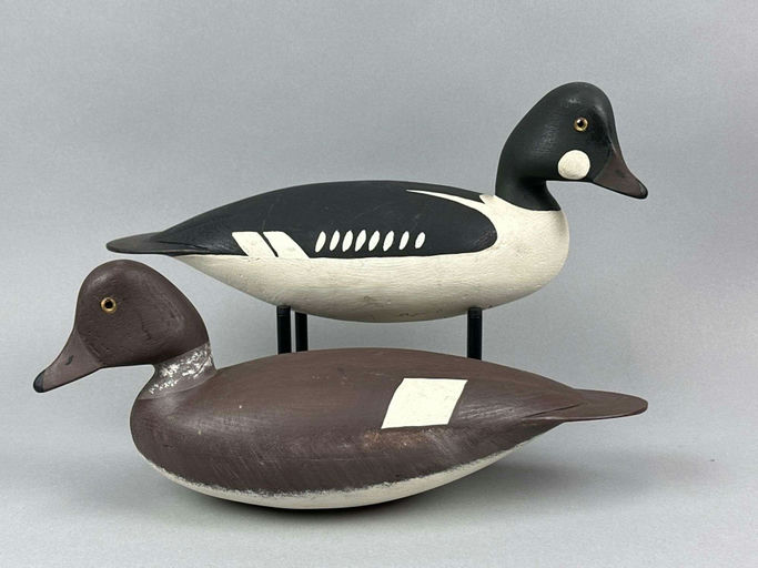 Hurley Conklin – Goldeneye – 2026