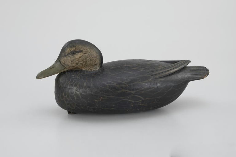 Jess Heisler – Tucked-Head Black Duck – 2026