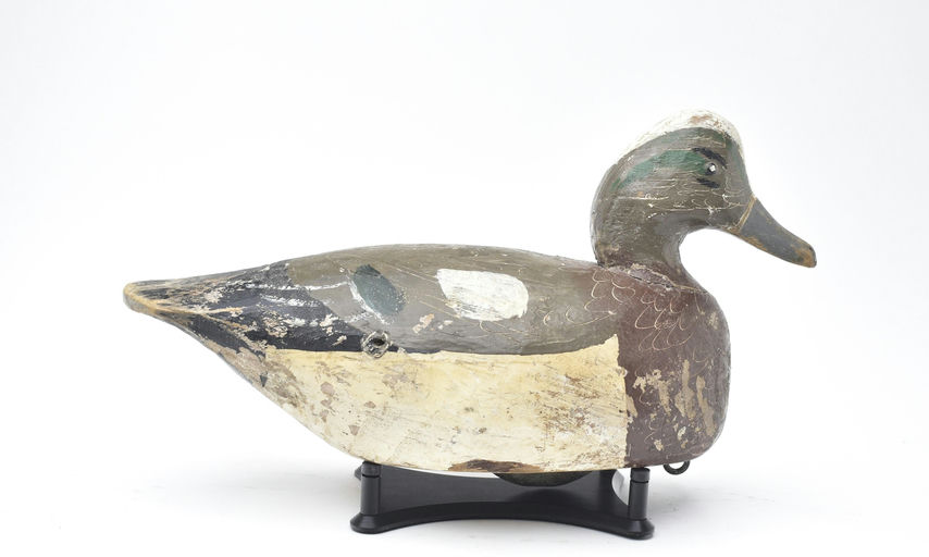 Miles Hancock – Wigeon – 2025