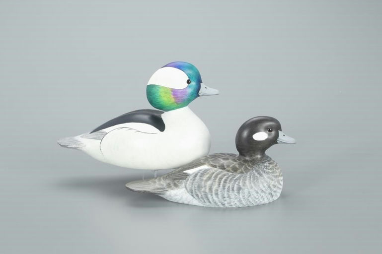 Bob Kerr – Bufflehead Pair – 2022