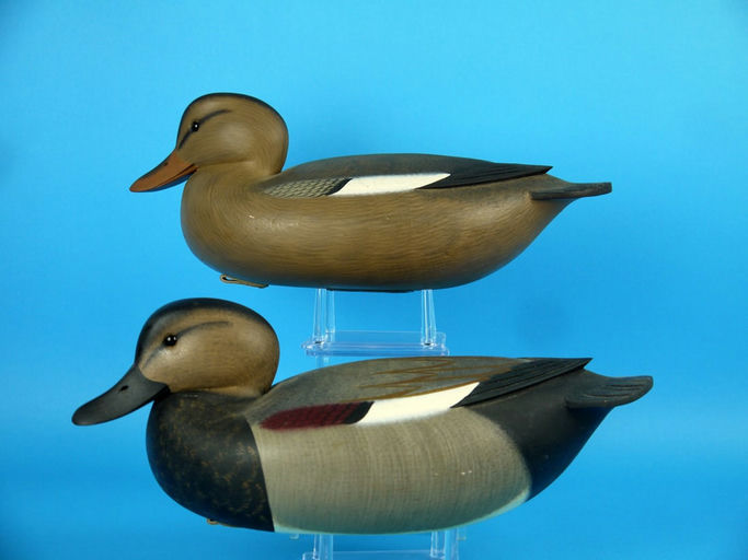 Rick Brown – Gadwall Pair, – 2026