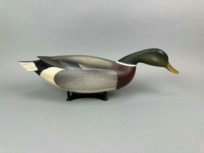George Strunk – Mallard Drake – 2026