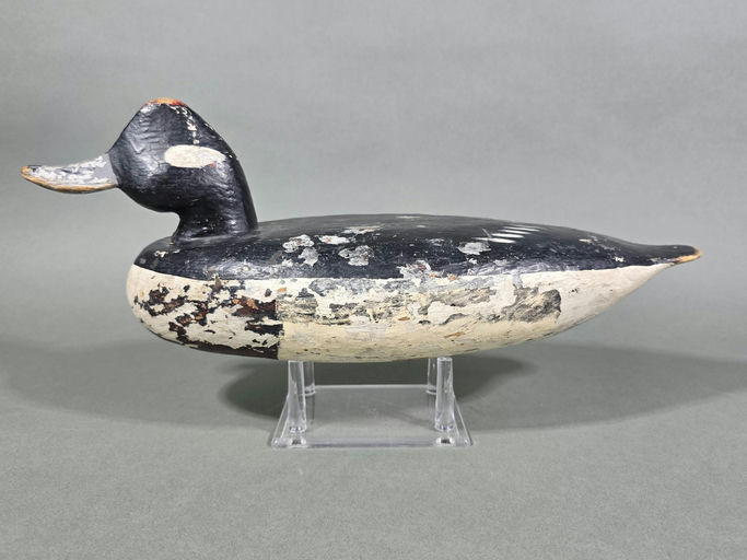 Doug Jester – Bufflehead – 2026