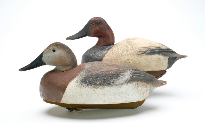 Ben Schmidt – Pair of Canvasback – 2025
