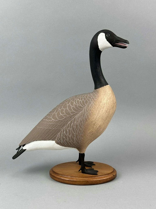 Lloyd Havens – Canada Goose – 2026