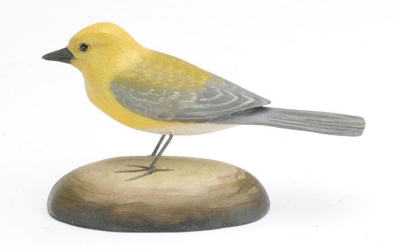 Frank Finney – Prothonotary warbler – 2023