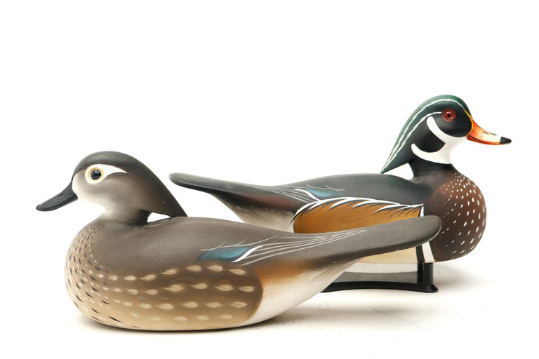 Charlie Joiner – Pair of Wood Duck – 2026