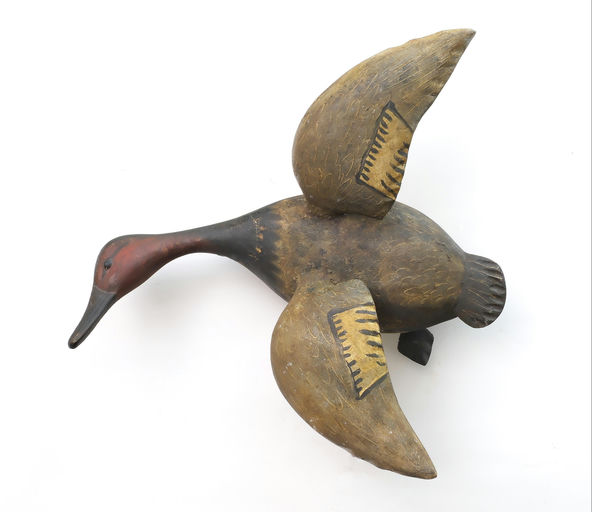 Reggie Birch – Canvasback – 2025