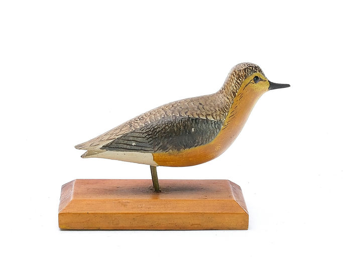 George Boyd – Red Knot – 2025