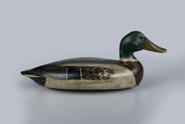 Charles Sheldon – Mallard – 2026
