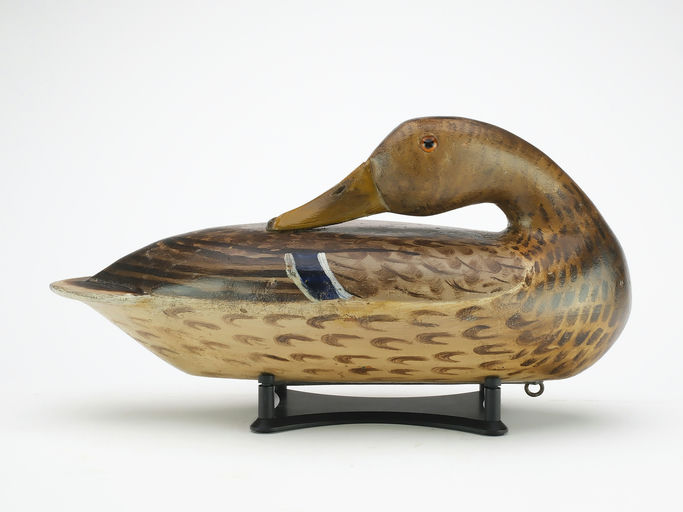 Bert Graves – Mallard – 2024