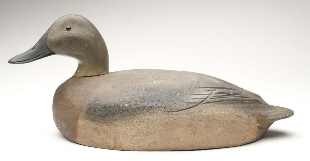 Ben Schmidt – Canvasback Hen – 2023