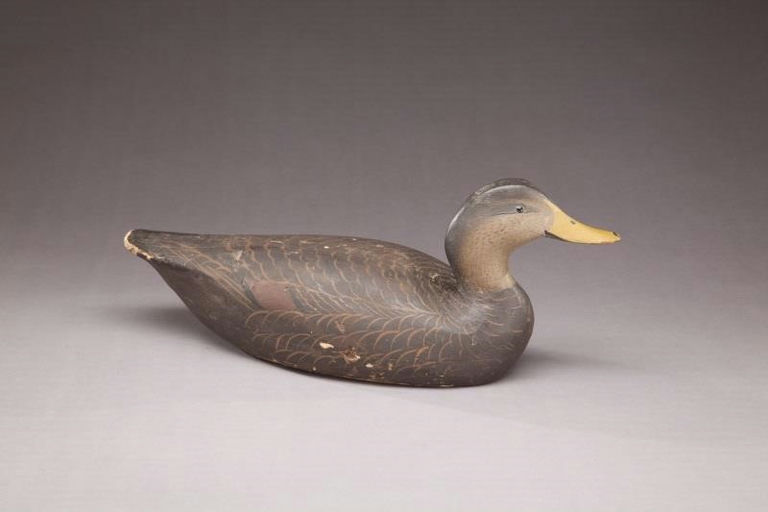 Ward Brothers – Black Duck – 2011